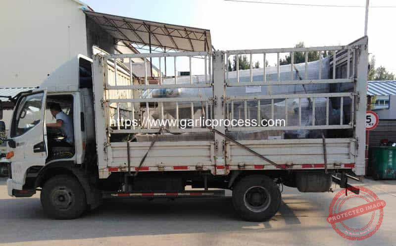 Automatic-Garlic-Seeds-Separating-and-Sorting-Line-for-Canada-Customer